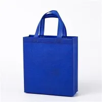 Neaustā bagāžas soma